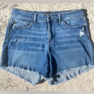 Judy Blue Distressed Denim Shorts 2XL